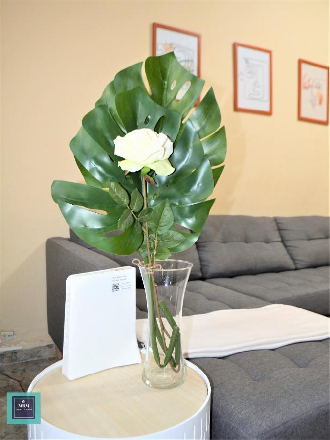 Teresa Urban Flat Las Palmas Extérieur photo